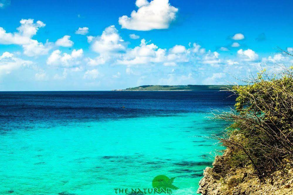 Bandabou Breeze Curacao Apart otel Willibrordus Dış mekan fotoğraf